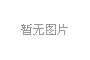 集团党委党支部书记党建工作汇报3篇